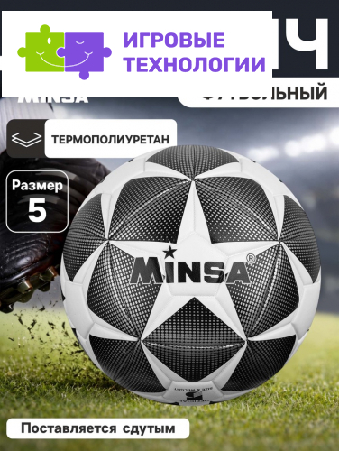 Мяч футбольный MINSA, TPE, машинная сшивка, 12 панелей, размер 5
